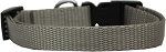 Plain Nylon Dog Collar (size: SM Silver)