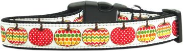 Pretty Pumpkins Nylon Dog Collar