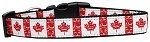 Canadian Flag in Swirls Nylon Dog Collar (size: medium)