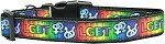 LGBT Nylon Dog Collar (size: medium)