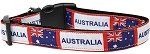 Australia Nylon Dog Collar (size: Medium Narrow)