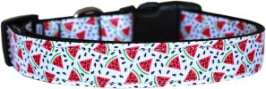 Watermelon Nylon Dog Collar