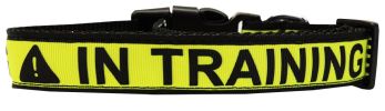 In Training Caution Tape Nylon Dog Collar