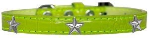 Silver Star Widget Croc Dog Collar (size: Lime Green Size 12)