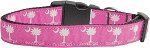 Carolina Girl Nylon Dog Collar (size: XL)