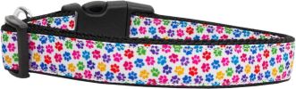 Confetti Paws Nylon Dog Collar