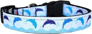 Blue Dolphins Nylon Dog Collar (size: XS)