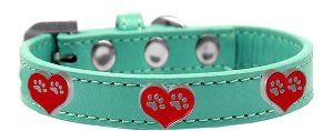 Paw Heart Widget Dog Collar (size: Aqua Size 20)