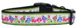 Easter Birdies Nylon Dog Collar