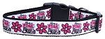 Dangerous in Camo Nylon Dog Collar (size: XL)