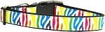 Zebra Rainbow Nylon Dog Collar (size: XL)