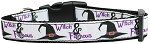 Witch and Famous Nylon Dog Collar (size: XS)