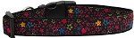 Black Star Nylon Dog Collar