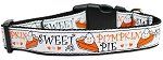 Pumpkin Pie Nylon Dog Collar (size: Sm)