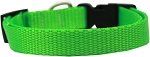 Plain Nylon Dog Collar (size: MD Hot Lime Green)